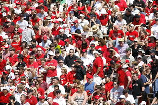 爱游戏官网app-体育新闻中心快讯榜单刷新，体育新闻 体坛快讯